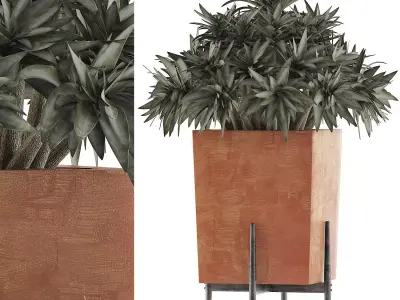 Plants Collection 74 3D model