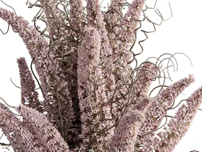 flowers plant in a bouquet glass vase 68 3D model