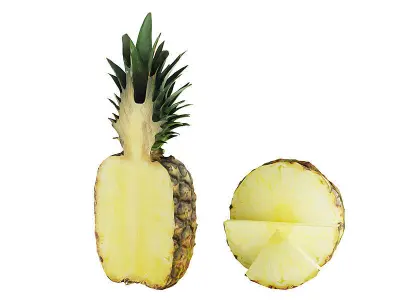 Pineapple BLENDER 3D Model Cycles 3D model