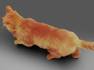 Fur Cat Yellow V3 NO Rigged  Low-poly 3D model