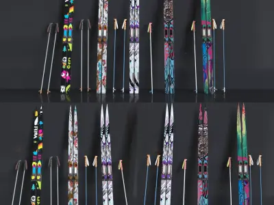 Ski and Ski Pole 3D model