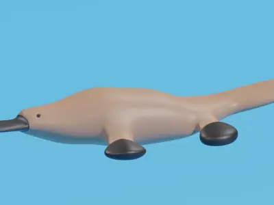 Cartoon Platypus 3D model