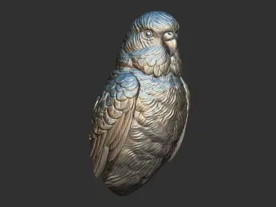 Budgerigar bust 3D print model