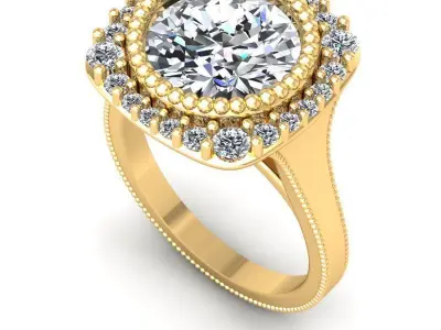 CAD-2067-Ring-B 3D print model