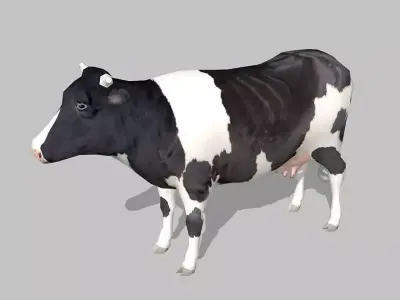 cow holstein Low-poly 3D model