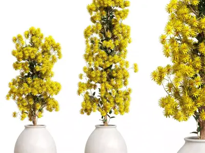 Flowers Set 2 jacaranda tree vase - jacaranda tree vase 3D model