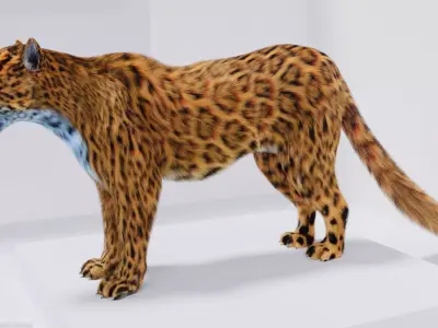 Realistic Fur Leopard 02 3D Model NO RIG Low-poly 3D model