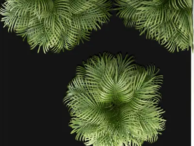 Plants collection 108 3D model