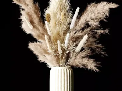 Dry Plants Bouquet Pampas Indoor concrete vase 3D model