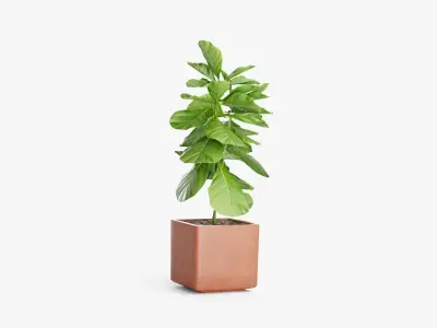 Plant 2 in concrete pot 3D model