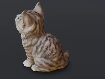 Kitten 3D Model Low-poly 3D model