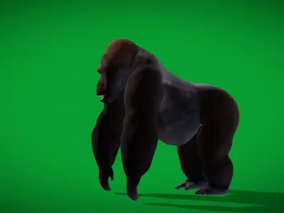 Western Lowland Gorilla Low-poly 3D model