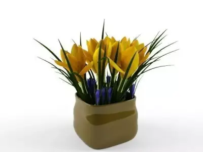 crocus yellow 3D model