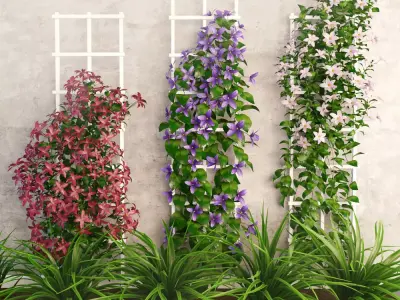 Wall flowers Low-poly 3D model