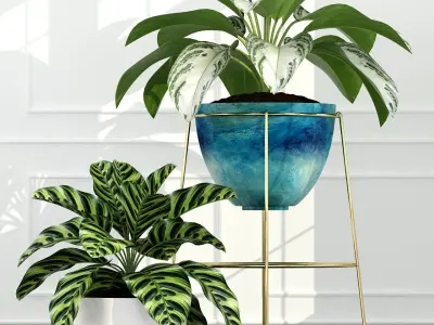 Plants collection 54 3D model