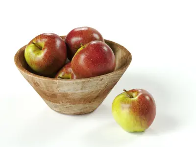 XENOS - Wooden Bowl 02 3D model