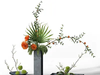 Indoor Plant Set 03 -three bouquets 3D model