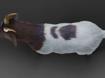 Fur Goat 03 NO Rigged in Blender Low-poly 3D model