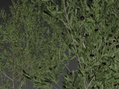 plant in pots  set 12 3D model