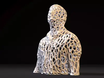 Torso Voronoi 3D print model