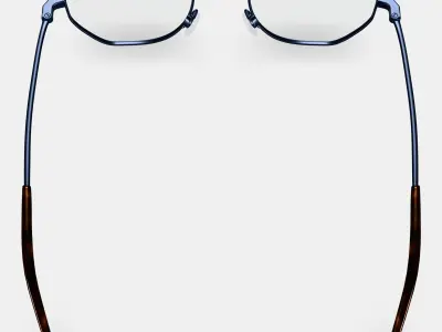 Dupree Eyeglasses in Brushed Ink 3D model