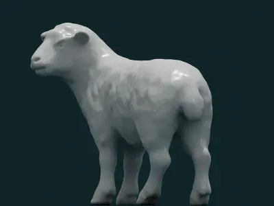 Sheep 3D model get