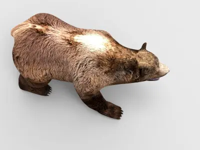 brown-bear animal 3d model  Low-poly 3D model