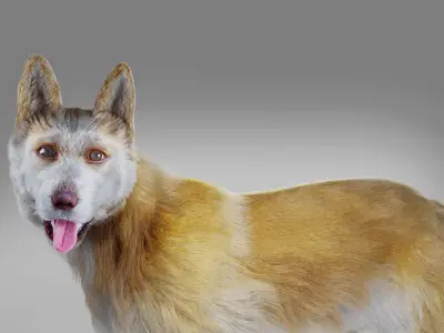 Fur Big Dog Yellow  No Rigged Low-poly 3D model