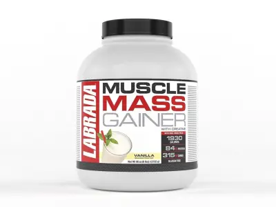 Protein Powder 3D model