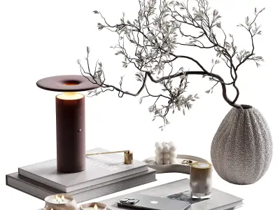 Decorative set 46 3D model shop