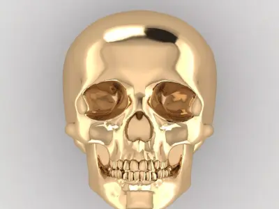 Skull 12 3D print model