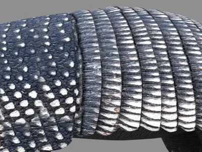 Armadillo 3D model