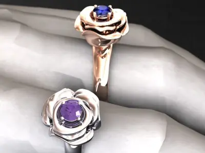 JEWELRY RING  o24 3D print model