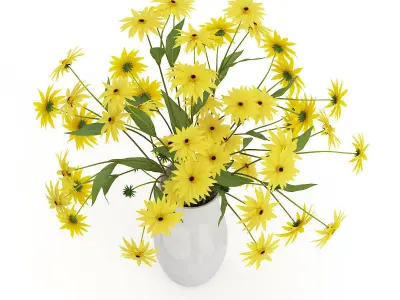 Coneflowers in Ceramic Vase 3D model