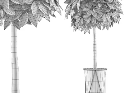 Plants Collection 81 3D model