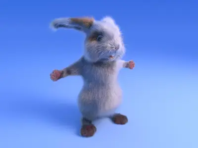 Rabbit - Cartoon style - rigged 3D model