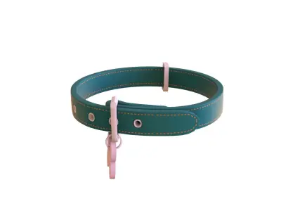 Cartoon Pet Collar v002 Low-poly 3D model