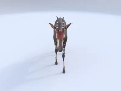 Okapi 3D model