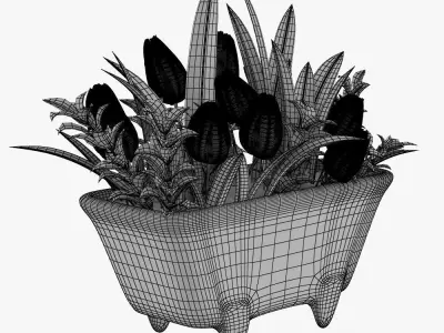Pot Plant 12 3D Models 3D model