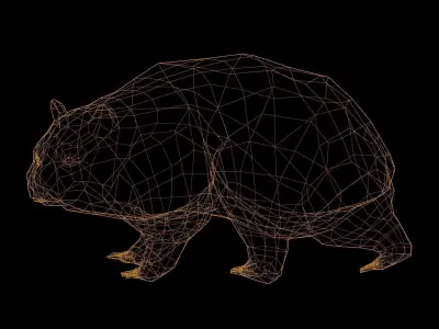Common Wombat-Low Poly Animated  Low-poly 3D model