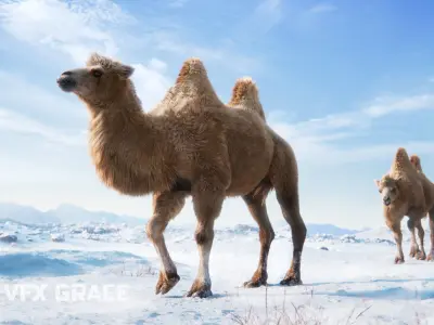 Bactrian Camel Rigged VFX Grace 3D model