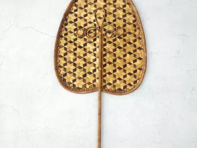 Mid-Century Wicker Fan Wall Art 3D model