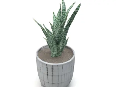 Terracotta Footed Planter with Artificial Plant  PBR 3D model