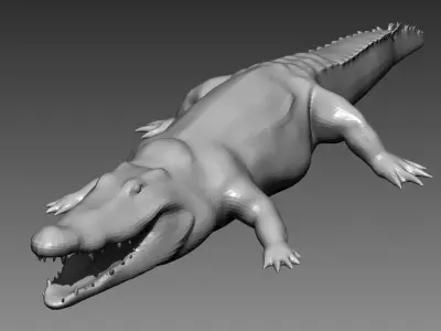 Crocodile base mesh for Zbrush 3D model
