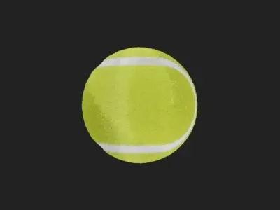 Tennis Ball 3D model