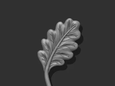 Acorn Tree Leaf 3D print model