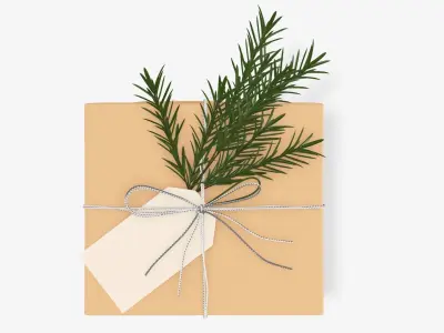 Wrapped Christmas gift 06 3D model