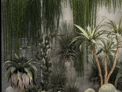 Collection Of Tropical Desert Plants From Cactus 3D model