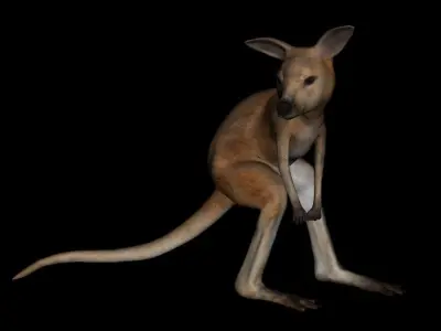 t12-joey kangaroo 3D model