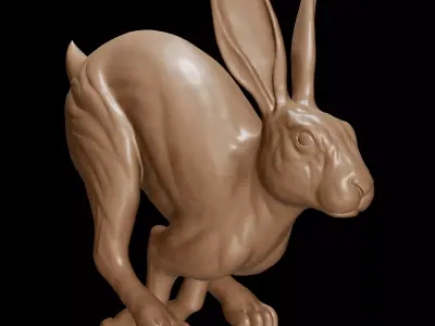 Rabbit Running 3D print model